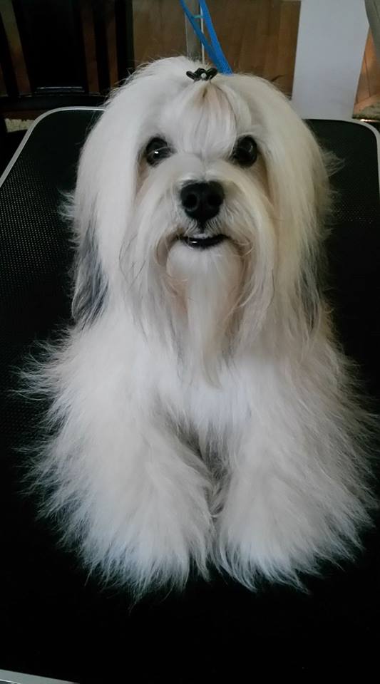 19366189_10155194394317012_7173425634026659948_n