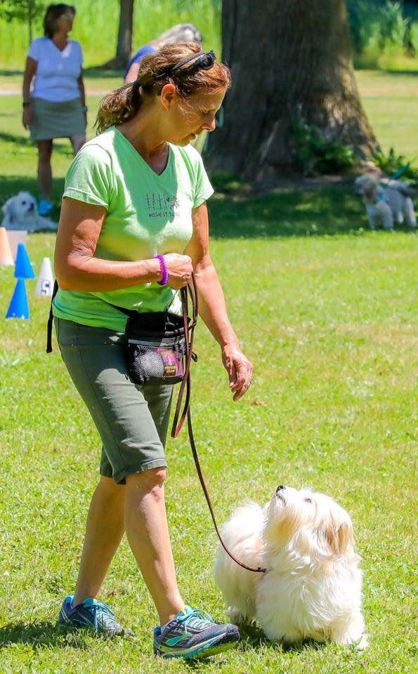 36880708_10156165240097012_8188662059597037568_n